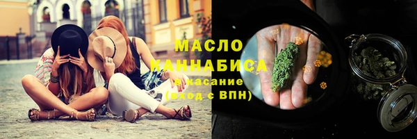 гидропоника Елабуга