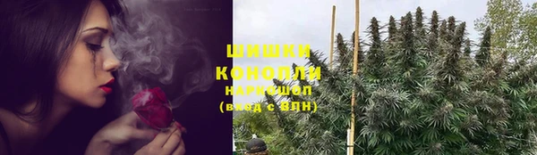 шишки Елизово