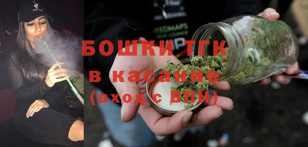 шишки Елизово