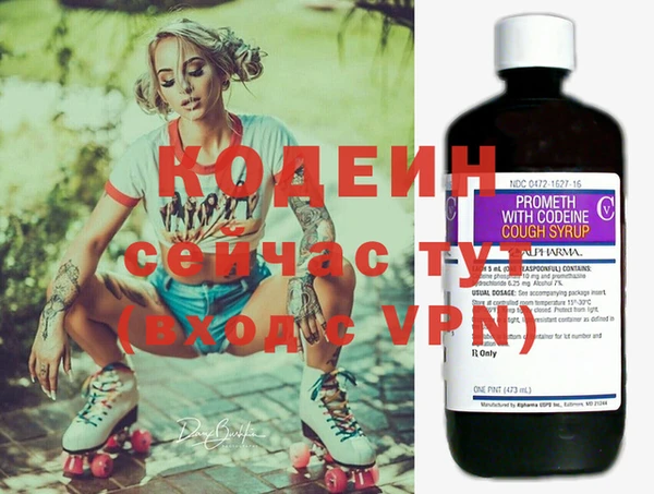 шишки Елизово