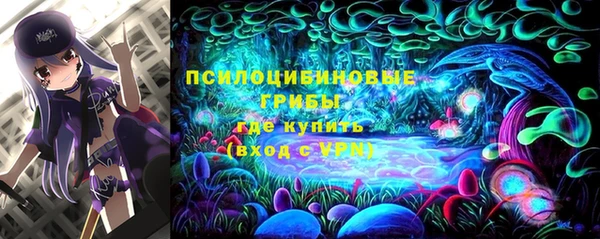 шишки Елизово