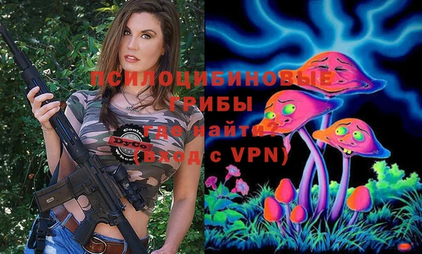 гидропоника Елабуга