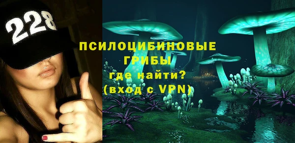шишки Елизово