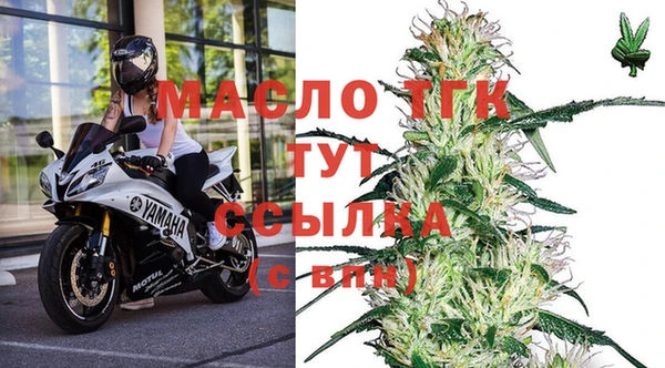 гидропоника Елабуга