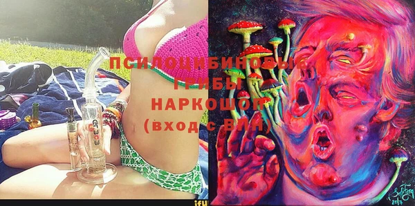 мяу мяу мука Ельня