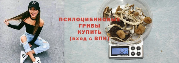 мяу мяу мука Ельня