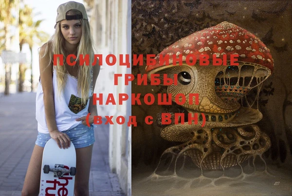 мяу мяу мука Ельня