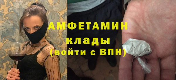 шишки Елизово