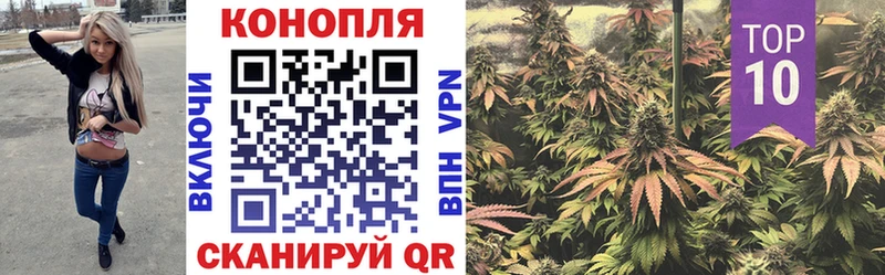 Шишки марихуана сатива Власиха